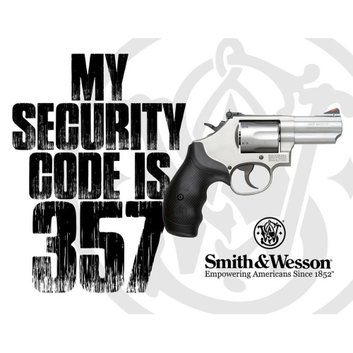Plaque smith and wesson 357